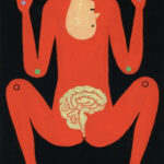 Animal Body