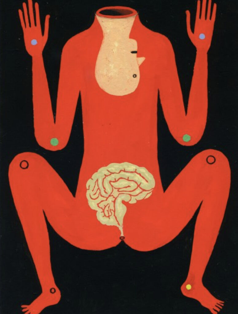 Animal Body